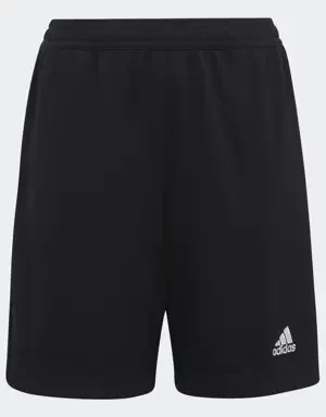 Adidas Pantalón entrenamiento Entrada 22